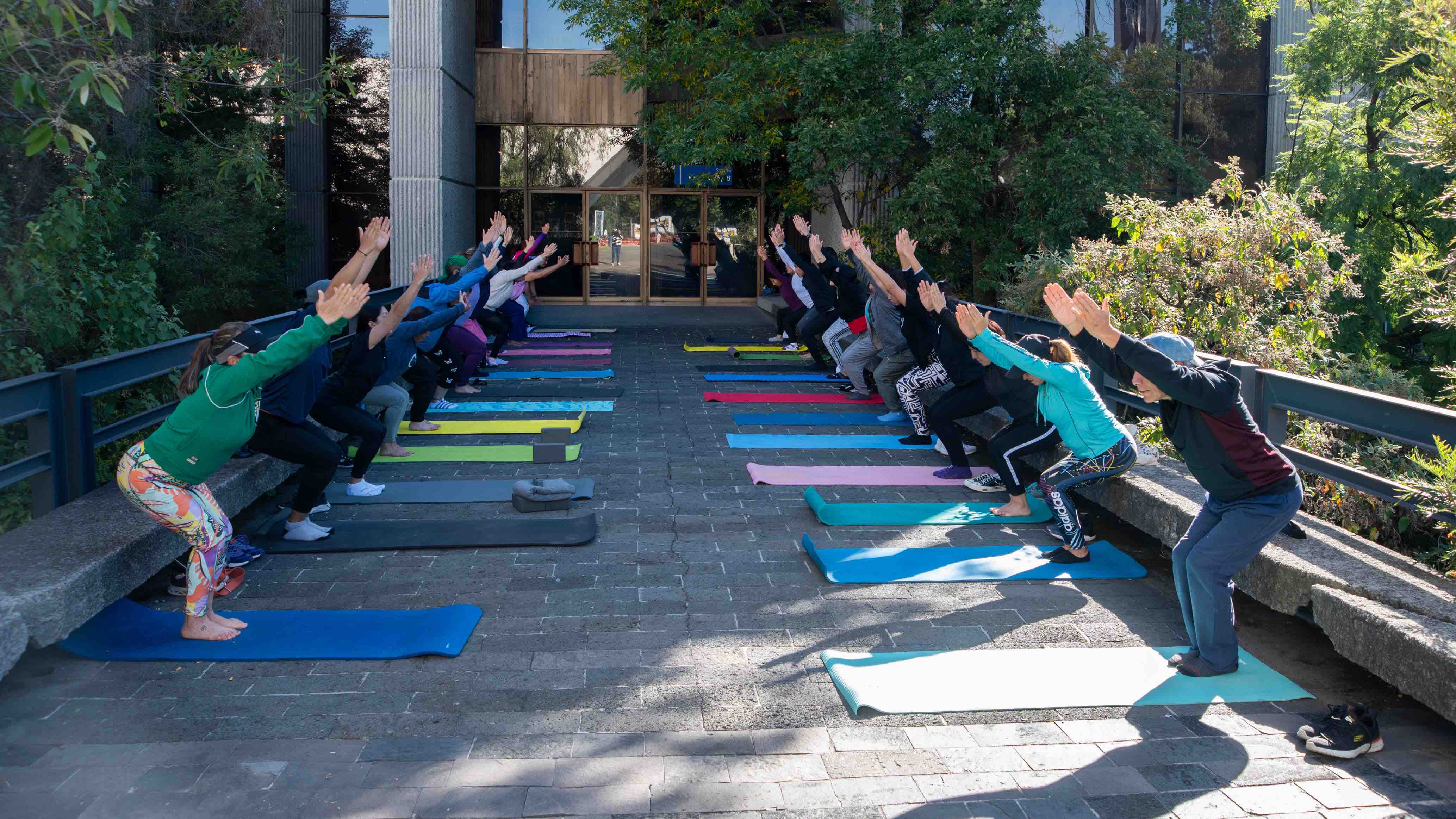 Yoga Dominical